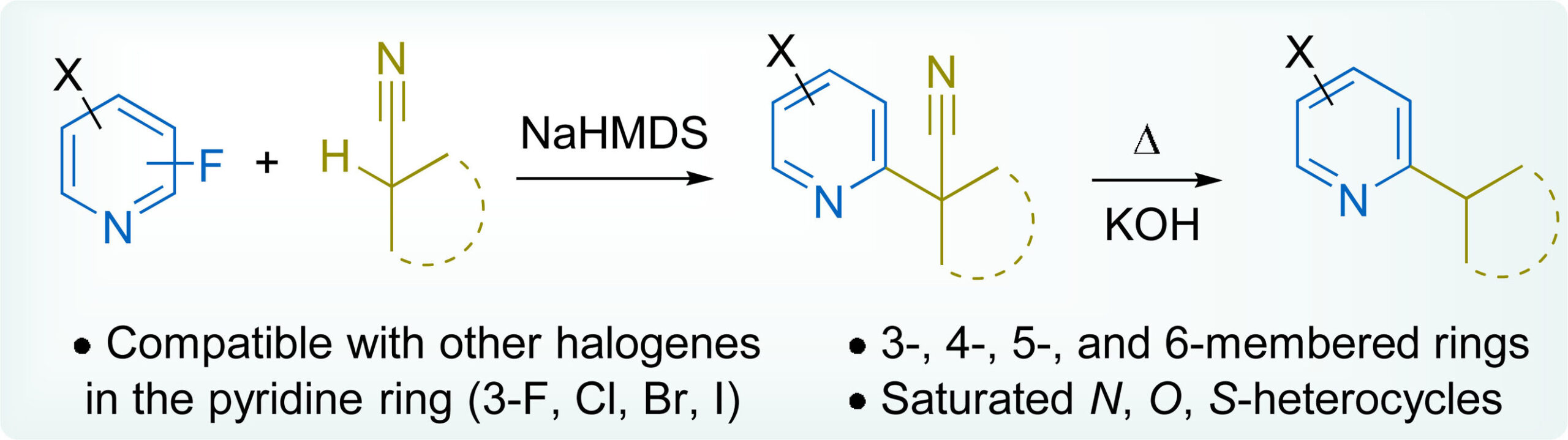 Multigram synthesis of α- and γ-((hetera)cyclo)alkylpyridines via α-arylation of (hetero)aliphatic nitriles
