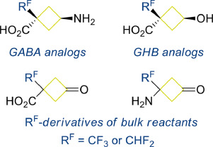 Synthesis of 1,3-bifunctional cyclobutane derivatives with α-CHF2/CF3 group – advanced building blocks for medicinal chemistry