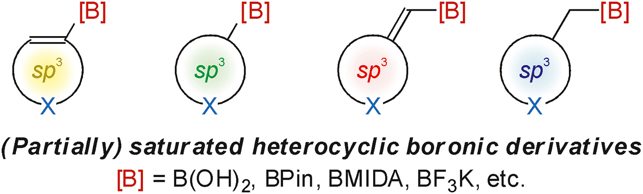 Synthesis of saturated and partially saturated heterocyclic boronic derivatives