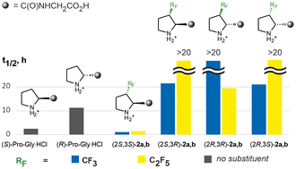 Impact of β-perfluoroalkyl substitution of proline on the proteolytic stability of its peptide derivatives