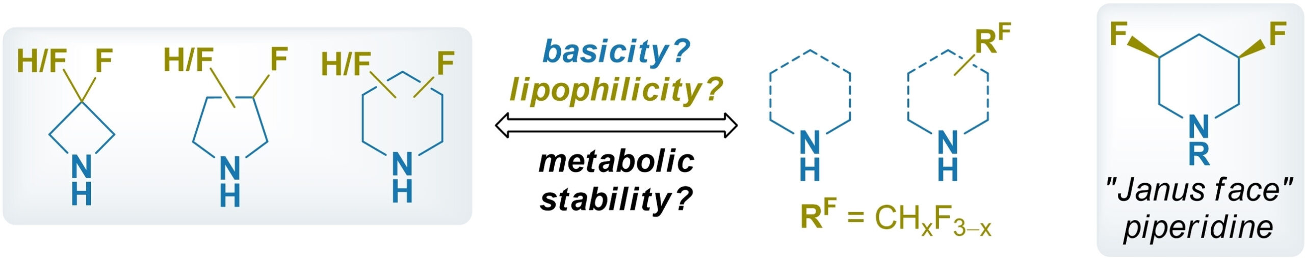 Mono- and difluorinated saturated heterocyclic amines for drug discovery: systematic study of their physicochemical properties