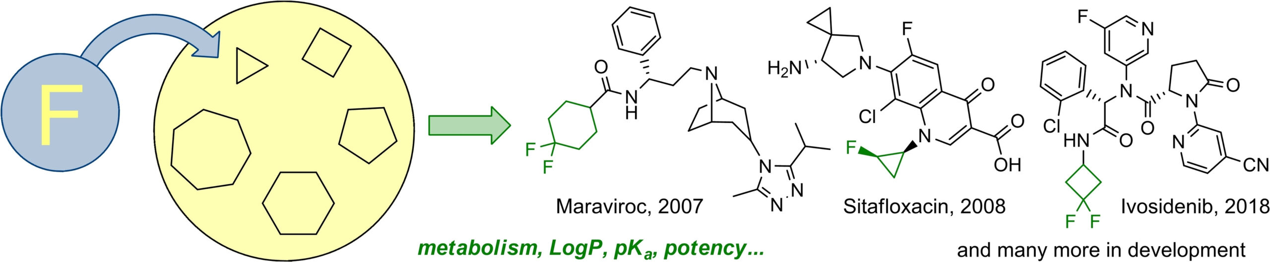 Fluorinated cycloalkyl building blocks for drug discovery