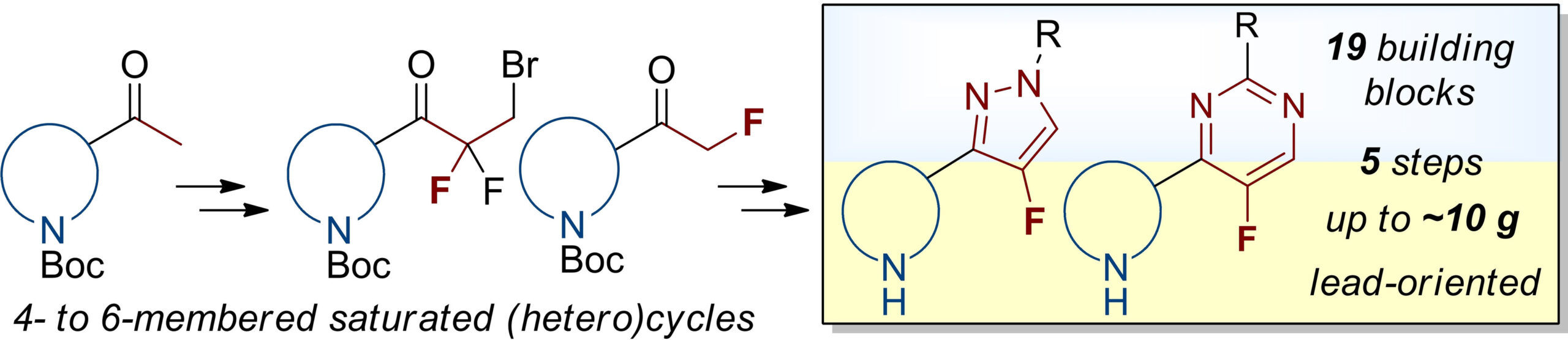 Fluorine-containing sp³-enriched building blocks for the multigram synthesis of fluorinated pyrazoles and pyrimidines with (hetero)aliphatic substituents