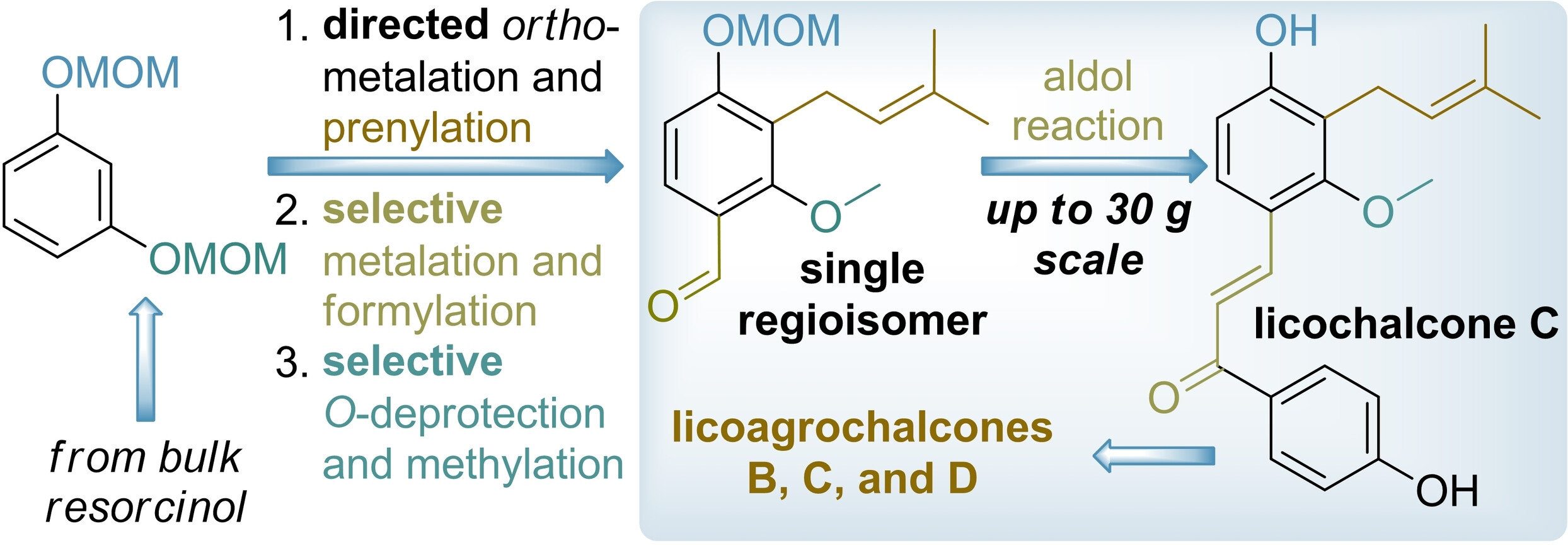 Regioselective and scalable total synthesis of licochalcone C and related licoagrochalcones
