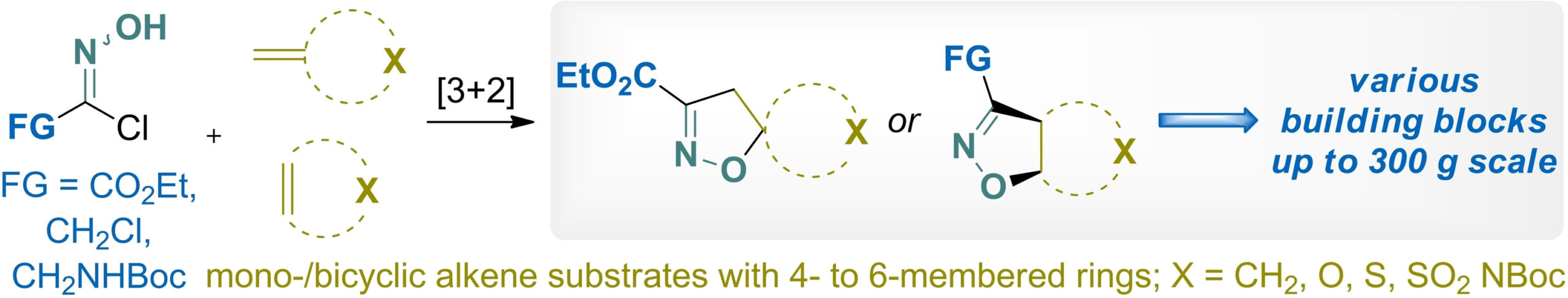 Synthesis of spirocyclic and fused isoxazoline building blocks