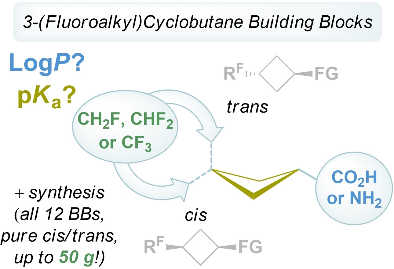 3-Fluoroalkyl (CF3, CHF2, CH2F) cyclobutane-derived building blocks for medicinal chemistry: synthesis and physicochemical properties