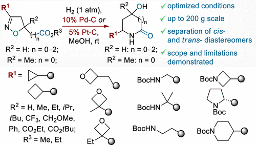 Reductive recyclization of sp3-enriched functionalized isoxazolines into hydroxy lactams