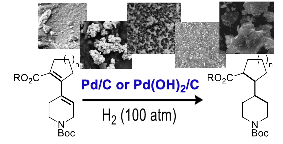 Screening of palladium/charcoal catalysts for hydrogenation of diene carboxylates with isolated-rings (hetero)aliphatic scaffold