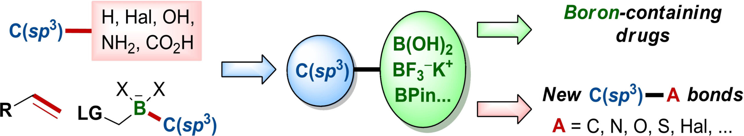 Saturated Boronic Acids, Boronates, and Trifluoroborates: An Update on Their Synthetic and Medicinal Chemistry