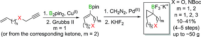 Multigram Synthesis of Heterabicyclo[n.1.0]alkan-1-yl Trifluoroborates