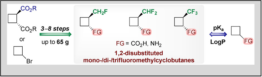 Fluoroalkyl-Containing 1,2-Disubstituted Cyclobutanes: Advanced Building Blocks for Medicinal Chemistry