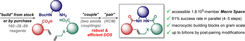 A Diversity-Oriented Approach to Large Libraries of Artificial Macrocycles