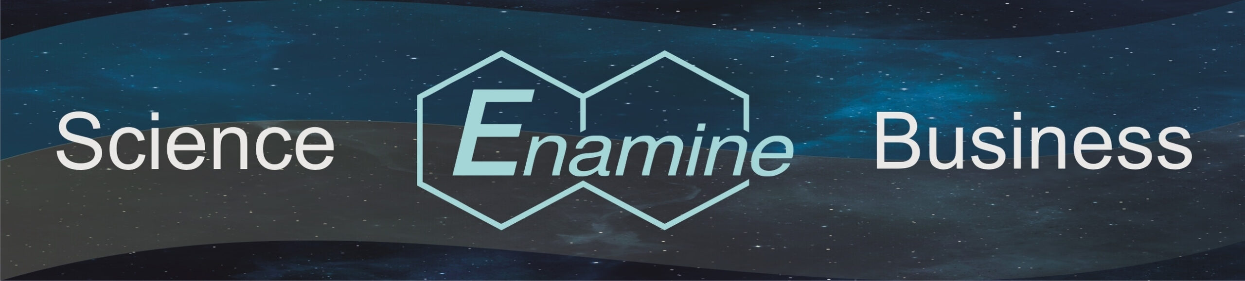 Enamine Ltd.: the science and business of organic chemistry and beyond