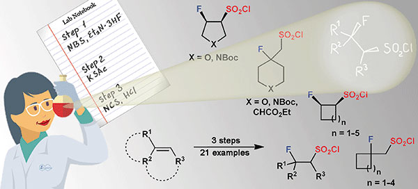 Synthesis of sp3-Enriched β-Fluoro Sulfonyl Chlorides