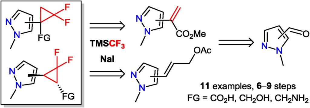 Synthesis of 1-hetaryl-2,2-difluorocyclopropane-derived building blocks: The case of pyrazoles