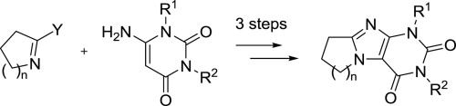 An approach to alicyclic ring-fused xanthines