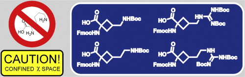 Confining the χ space of basic natural amino acids: cyclobutane-derived χ1,χ2-constrained analogues of arginine, lysine and ornithine