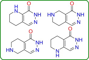Tetrahydropyrido[d]pyridazinones—promising scaffolds for drug discovery