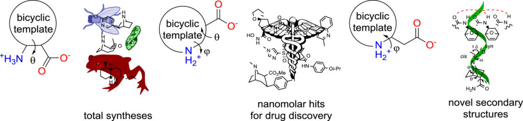 Bicyclic β-amino acids
