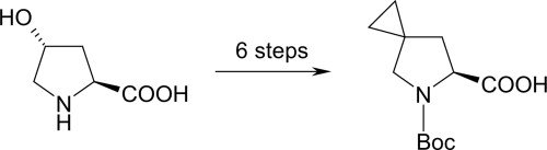 Synthesis of a novel Boc-protected cyclopropane-modified proline analogue