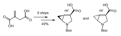 Synthesis of Boc-protected 4,5-methano-β-proline