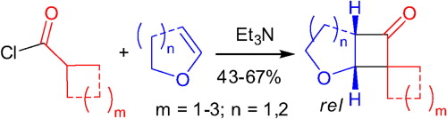 Synthesis of three-dimensional fused and spirocyclic oxygen-containing cyclobutanone derivatives