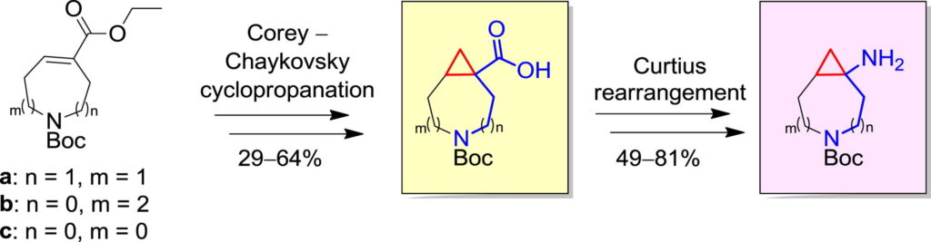 Synthesis of azabicyclo[n.1.0]alkane-derived bifunctional building blocks via the Corey–Chaykovsky cyclopropanation