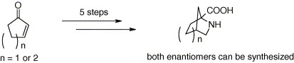 Stereoselective synthesis of 2,4-methanoproline homologues