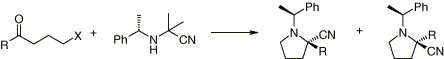 An approach to 2-cyanopyrrolidines bearing a chiral auxiliary