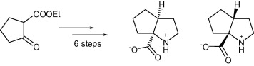 Synthesis of enantiopure (R,R)- and (S,S)-cis-2,3-propanoprolines