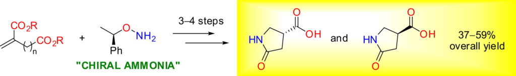 O-(α-Phenylethyl)hydroxylamine as a ‘chiral ammonia equivalent’: synthesis and resolution of 5-oxopyrrolidine- and 6-oxopiperidine-3-carboxylic acids