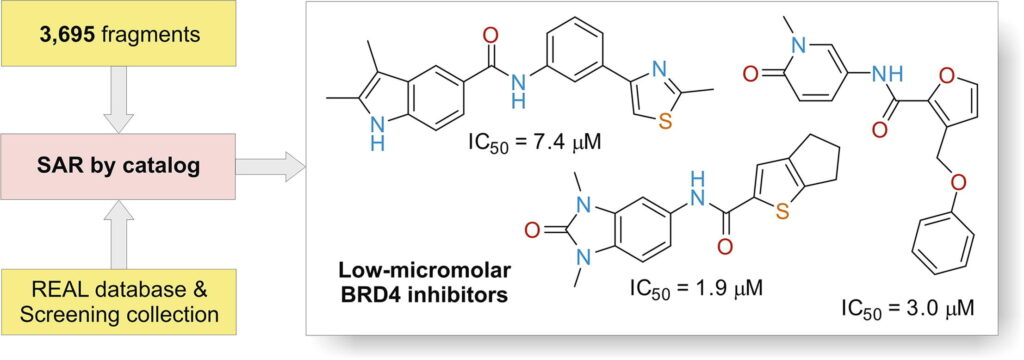 Straightforward hit identification approach in fragment-based discovery of bromodomain-containing protein 4 (BRD4) inhibitors