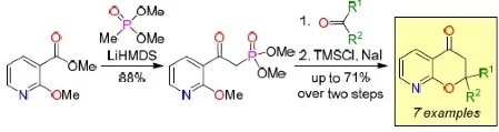 Strategy for the synthesis of 2,2-disubstituted 8-azachromanones via Horner–Wadsworth–Emmons olefination