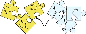 Synthesis of trans-disubstituted pyrazolylcyclopropane building blocks