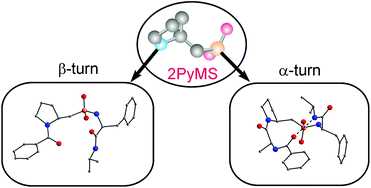Conformational behaviour of peptides containing a 2-pyrrolidinemethanesulfonic acid (2PyMS) residue