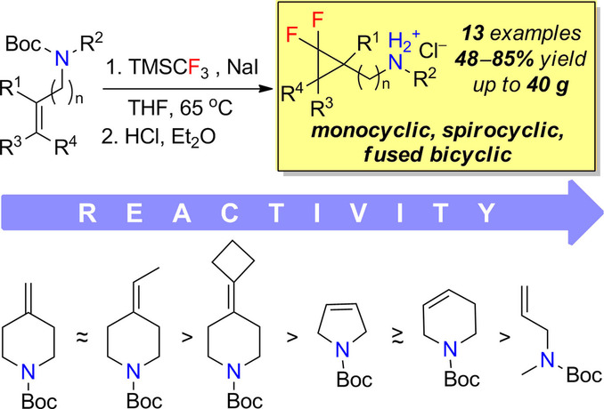Gram-Scale Synthesis of Amines Bearing a gem-Difluorocyclopropane Moiety
