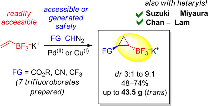 Multigram Synthesis and C−C/C−N Couplings of Functionalized 1,2-Disubstituted Cyclopropyltrifluoroborates