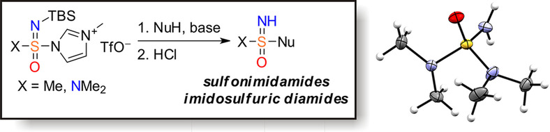 Sulfonimidamides and Imidosulfuric Diamides: Compounds from an Underexplored Part of Biologically Relevant Chemical Space