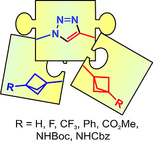 Bicyclo[1.1.1]pentane-Derived Building Blocks for Click Chemistry