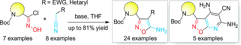 Synthesis of Bi- and Polyfunctional Isoxazoles from Amino Acid Derived Halogenoximes and Active Methylene Nitriles