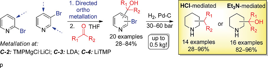 Scalable and Straightforward Synthesis of All Isomeric (Cyclo)alkylpiperidines