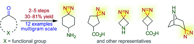 Multigram Synthesis of Functionalized Spirocyclic Diazirines