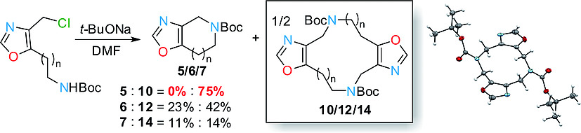 Formation of 10/12/14-Membered Rings is Favored over 5/6/7-Membered. An Unexpected Result from Oxazole Chemistry