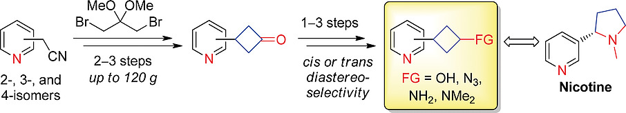 Robust and Scalable Approach to 1,3-Disubstituted Pyridylcyclobutanes