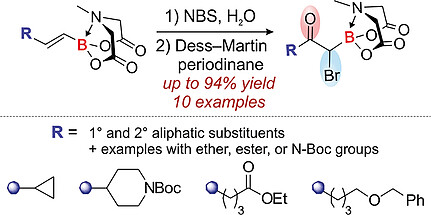 Aliphatic α-Boryl-α-bromoketones: Synthesis and Reactivity