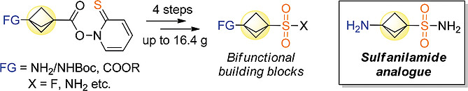 3-Carboxy-/3-Aminobicyclo[1.1.1]pentane-Derived Sulfonamides and Sulfonyl Fluorides – Advanced Bifunctional Reagents for Organic Synthesis and Drug Discovery