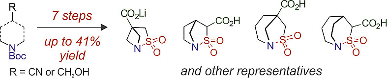 Synthesis of Functionalized Bridged Bicyclic Sulfonamides with a Bridgehead Nitrogen Atom