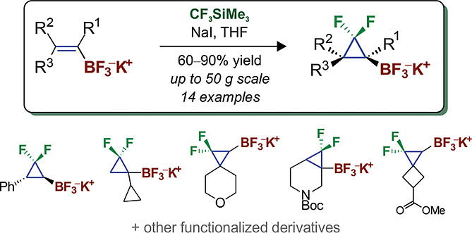 gem-Difluorocyclopropanation of Alkenyl Trifluoroborates with the CF3SiMe3–NaI System
