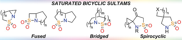 Saturated Bicyclic Sultams