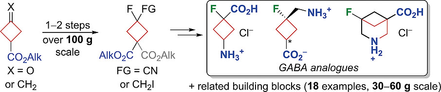 GABA Analogues and Related Mono-/Bifunctional Building Blocks Derived from the Fluorocyclobutane Scaffold